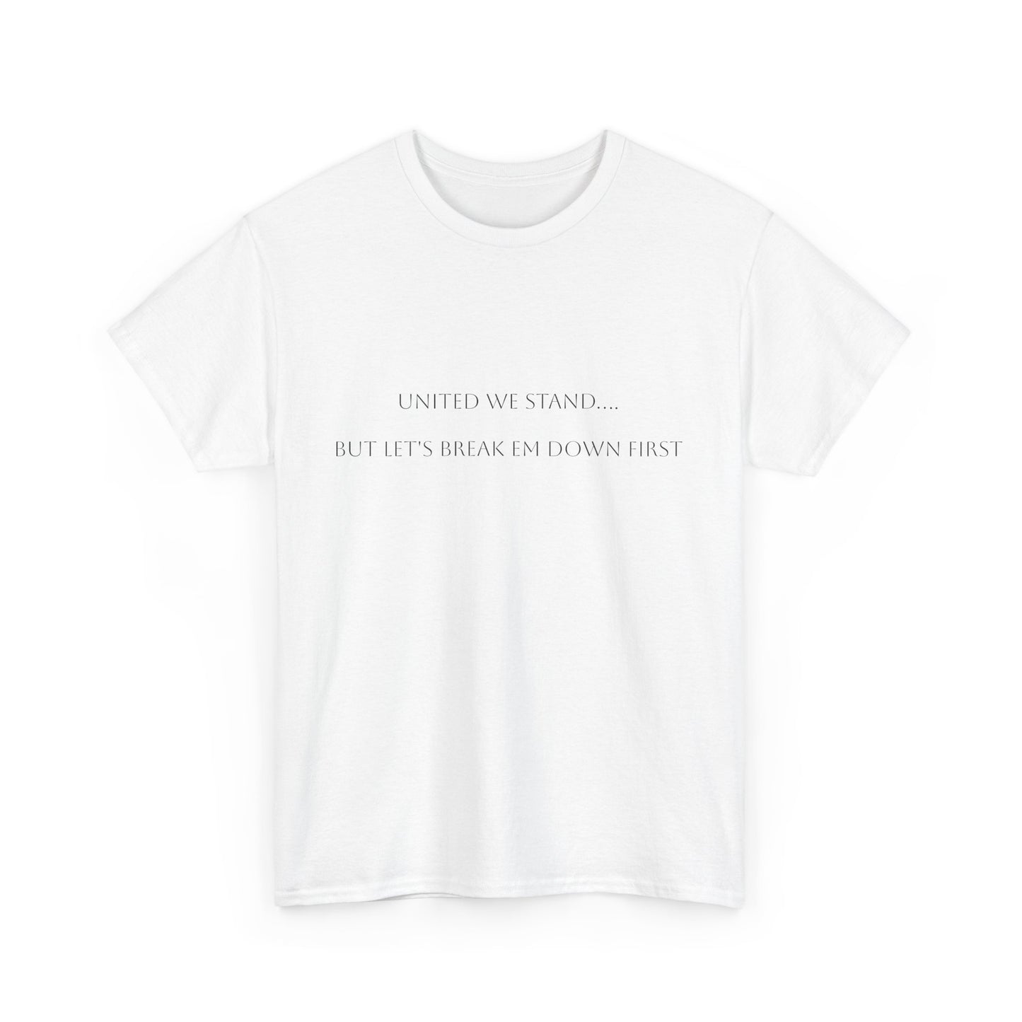 United We Stand.... Satire T-Shirt: Dark Humor Political Tee