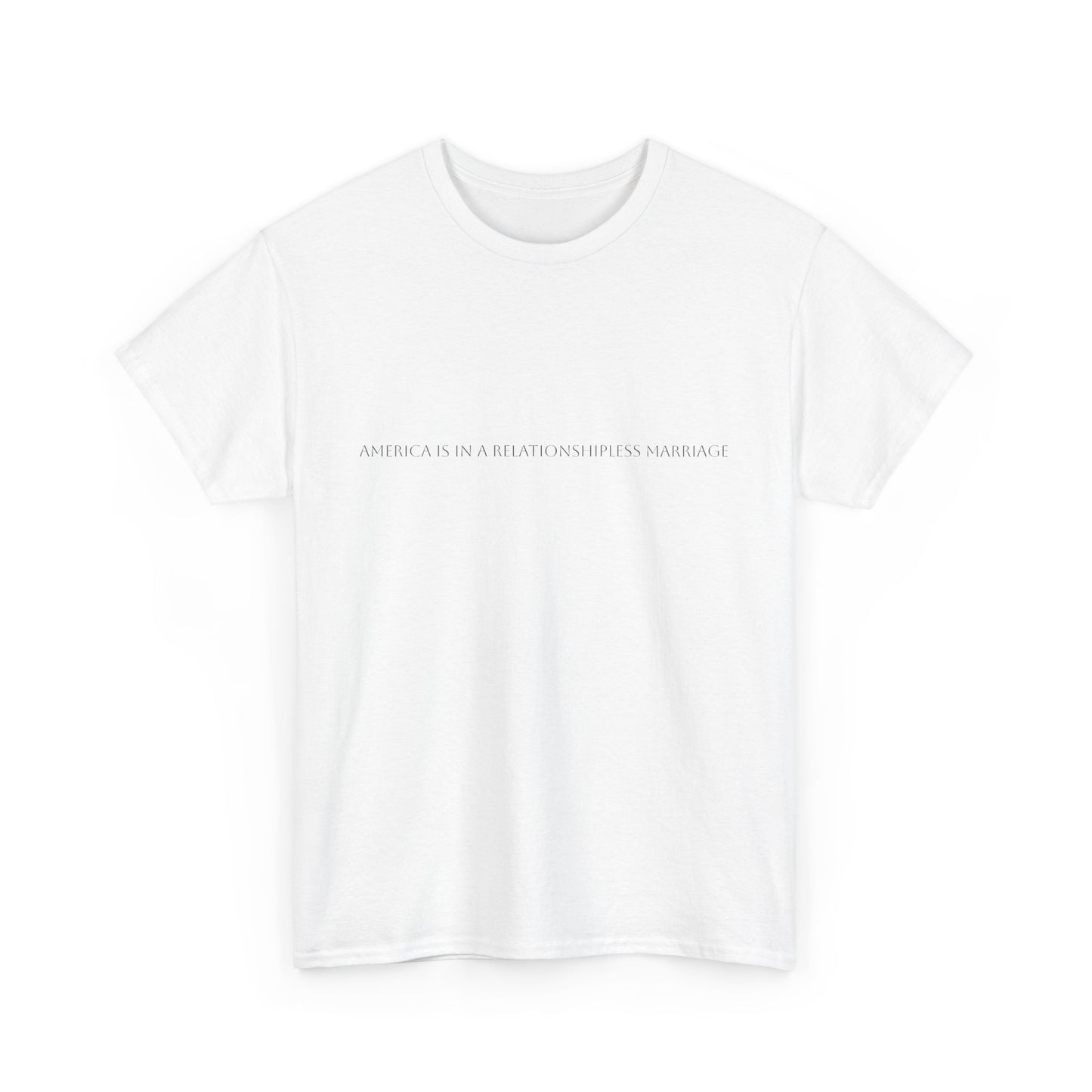 "America is in...." Satire T-Shirt: Dark Humor Political Tee